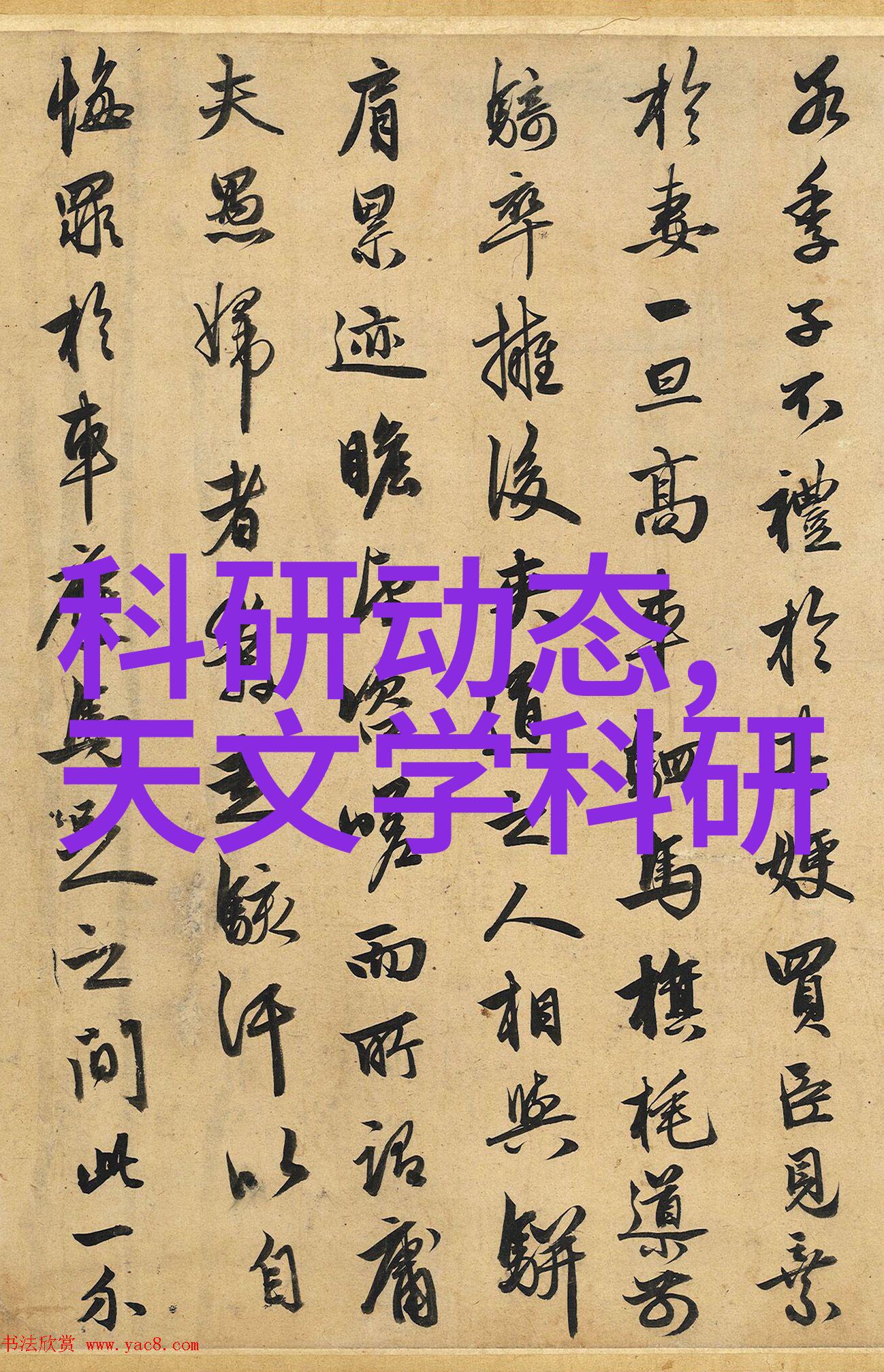 尼康d300s闪光奇迹解锁人像摄影的亮点问题
