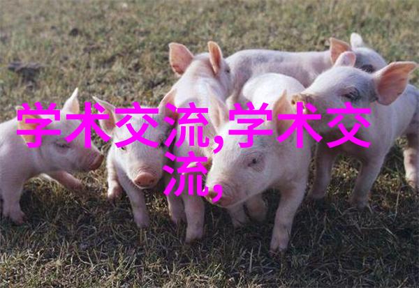 智慧职教-智慧驱动职场教育新篇章