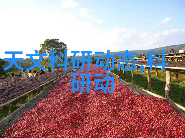氯乙醇之谜它的影子在哪里