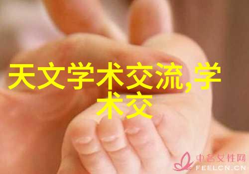 丝网填料分块技术织就材料创新之谜