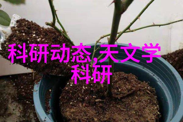 园艺美学-赏心悦目创意庭院装修设计指南