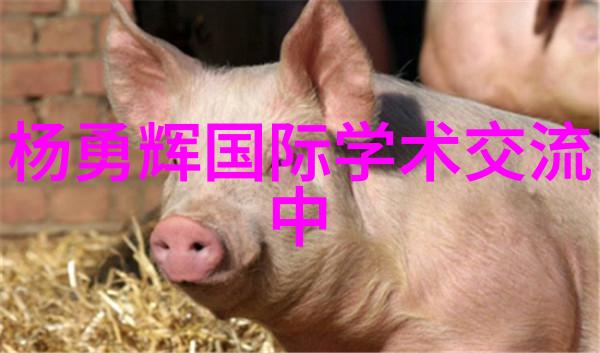 化工其他制剂设备-精细化工配料自动化系统的设计与应用