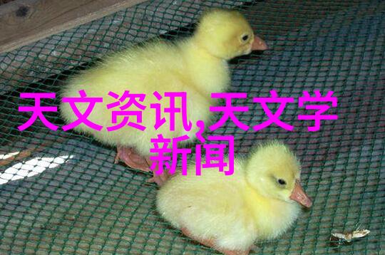 手机排行榜2023性价比高的有哪些-追求极致性价比2023年最值得购买的智能手机推荐