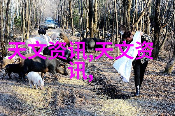 美女挑战男神一场精彩的扑克对决