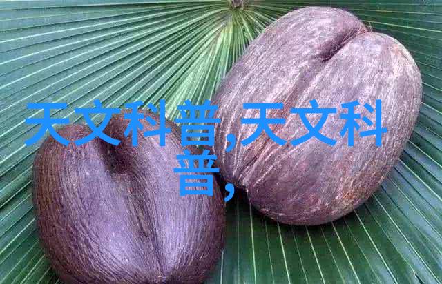 小学五年级下册第三单元研究报告探索自然科学知识