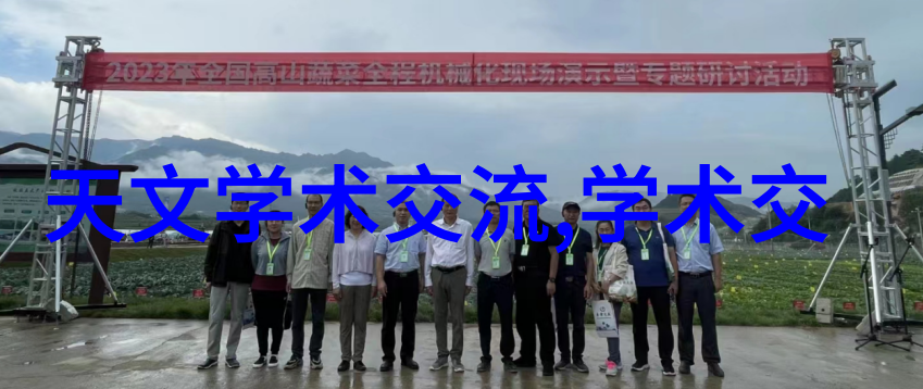 装修经典100句我是如何一步步把家装得既有格调又舒心的