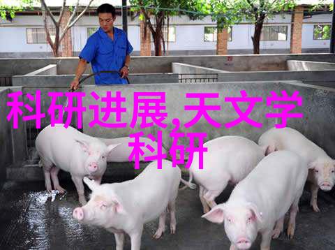空压机油气分离器图解与操作指南