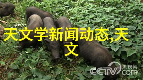 欧式客厅装修效果图-温馨雅致创意欧式客厅装修效果图欣赏