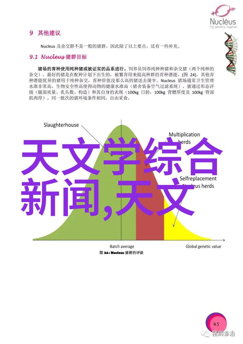 在追求美观的同时我们还能兼顾环保原则吗如果可以请分享一些实用的建议