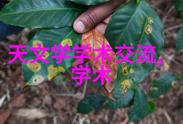 城市之脉公交车上的连锁反应