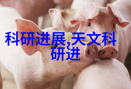 挥霍文本-荒唐的字节追忆那些无忧的TXT时代