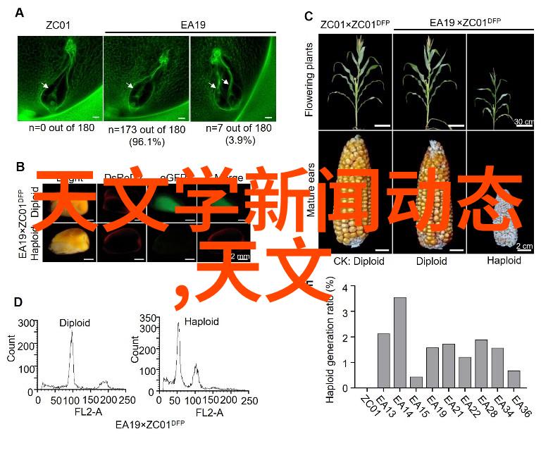 办公空间设计-120平米现代简约办公室装修案例研究