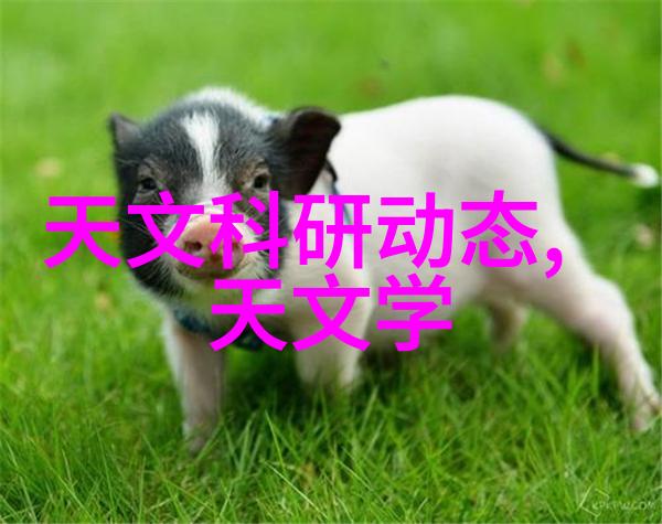 北京智能交通网构建智慧城市的基石