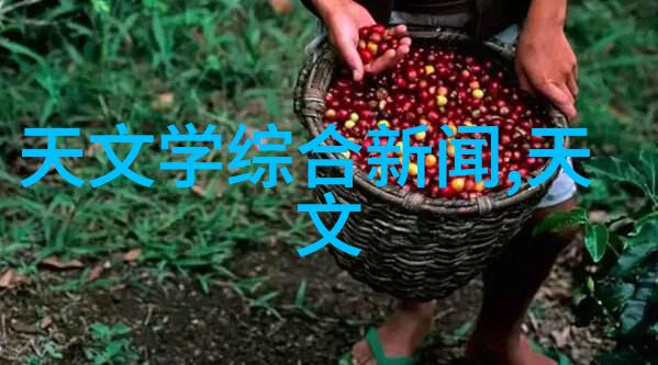 兔宝宝的故事毛茸茸的小生命与温暖的家园