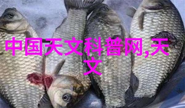如何切制蔬菜保持颜色和口感