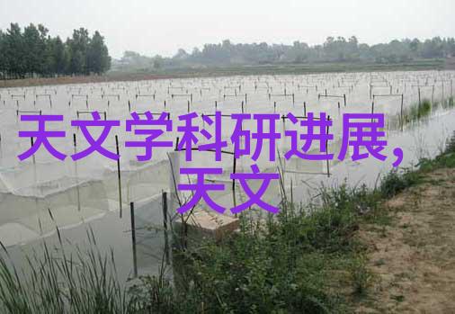 从设计到制造芯片产业链的精细工艺