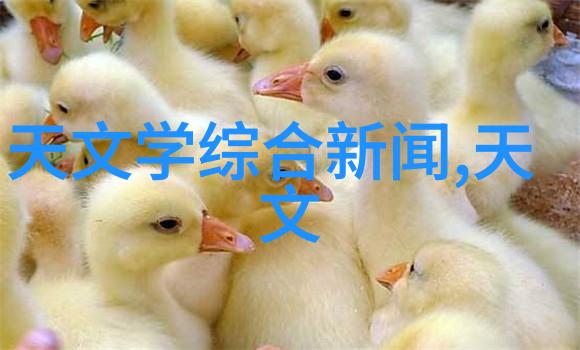 药包材制造设备如何提高生产效率与产品质量