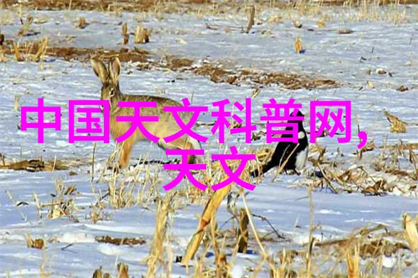 电视墙装修效果图大全创意灵感满满的家居美学指南