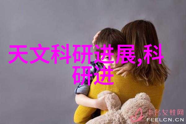 三瓣六瓣填料安装指南确保正确的配置与维护