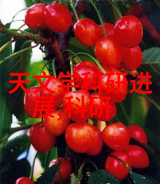 东微半导体的估值我的心跳加速了