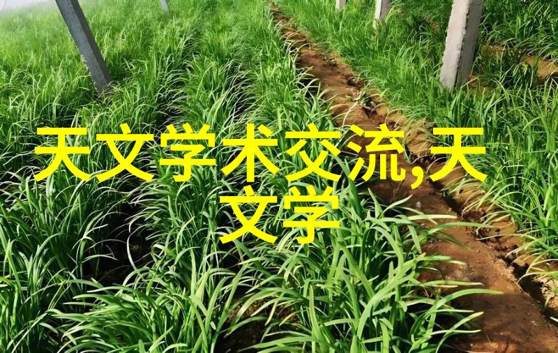 中国人保股价为什么低我是怎么没想到的