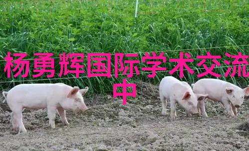 智慧触动Vilant智能传感器革新厂内物流门管理