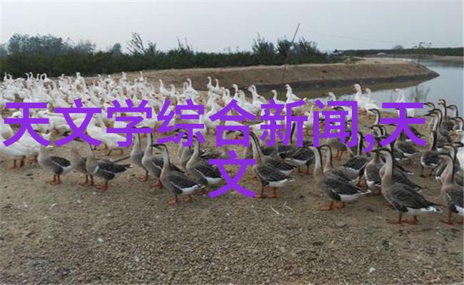 水分之舞揭秘离心脱水机的奥秘