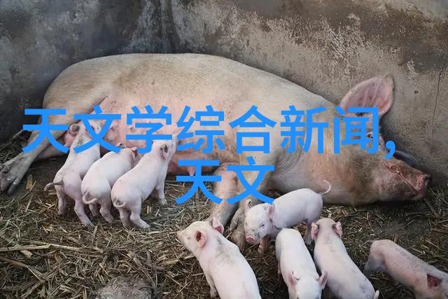电力与细腻三相电多功能粉碎机的无限可能
