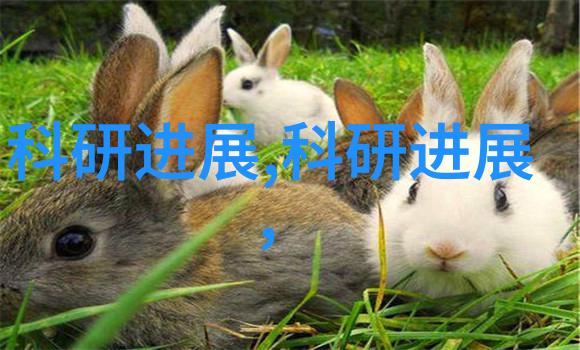 气力输送设备未来工业运输的新篇章吗