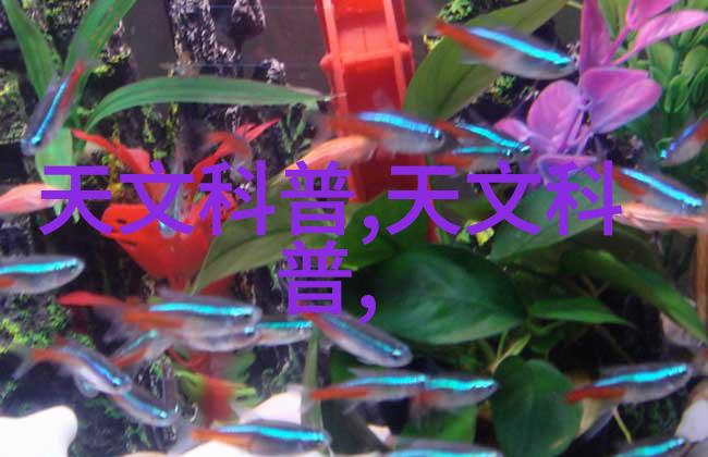 赵甲第冒险赵甲第的传奇冒险