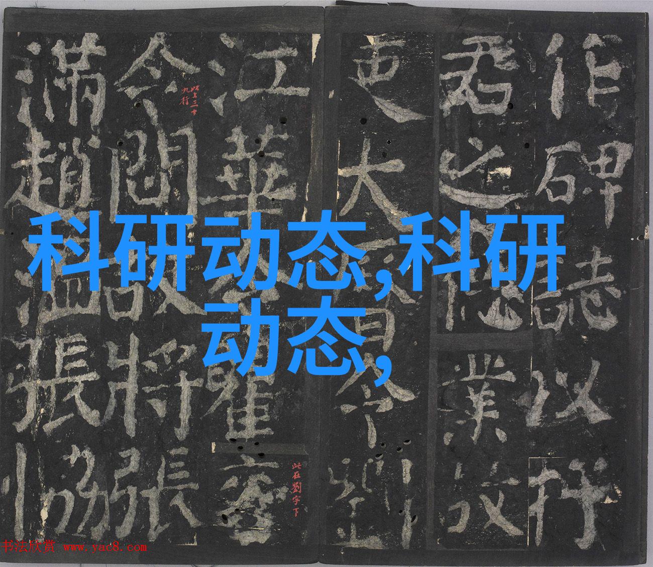 化工丸剂机械-探索现代化工丸剂机械的奥秘