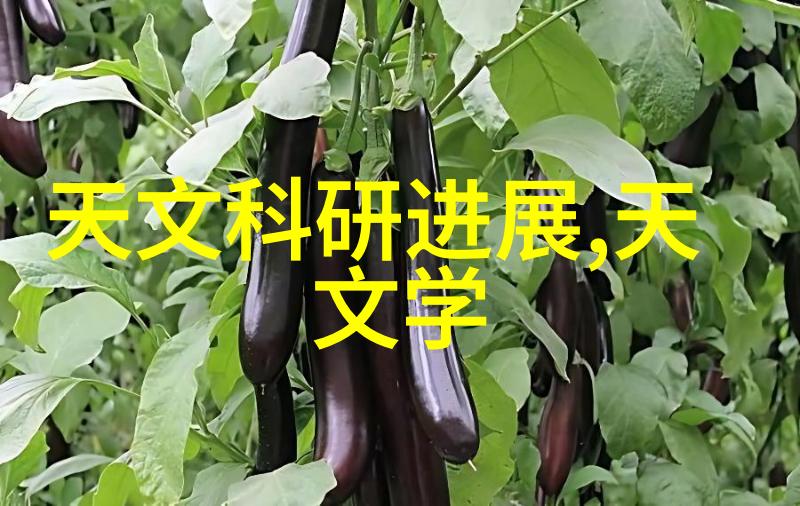 苏州最好的装修公司选择方法寻找那位懂得书桌高度的忠实顾问
