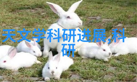 儿童房照明系统应遵循哪些基本原则来确保舒适性和安全性