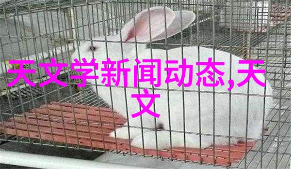 聚乙烯管材的选择与应用PE100级的卓越表现