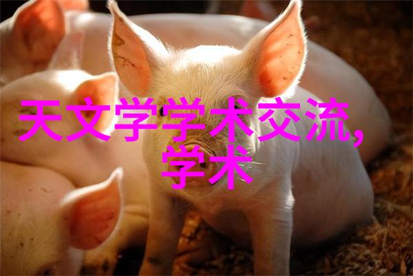别墅大客厅装修效果图我的梦幻居所设计灵感来源