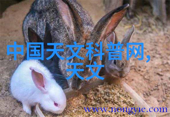 主题我是如何用螺旋分离器搞定杂乱无章的生活中的物品的