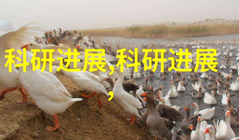 工业废气净化器高效清洁空气污染设备