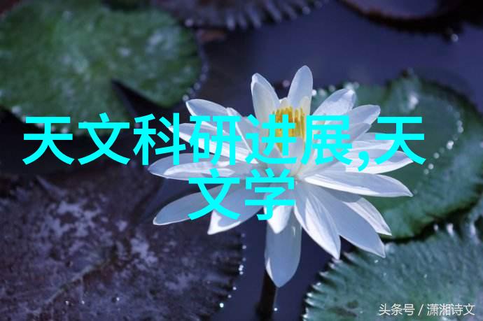 筛选机的秘密生活它是如何在我们不注意的时候筛选出最有趣的秘密