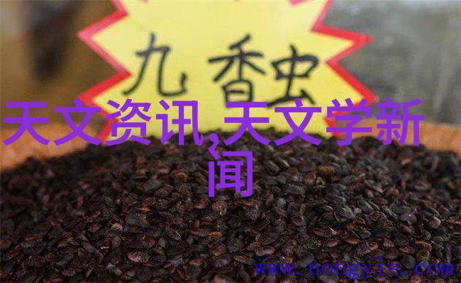 工业生产中的关键设备化工卫生泵的重要性与应用