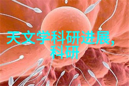 兔狗家装风尚创意空间的新宠物