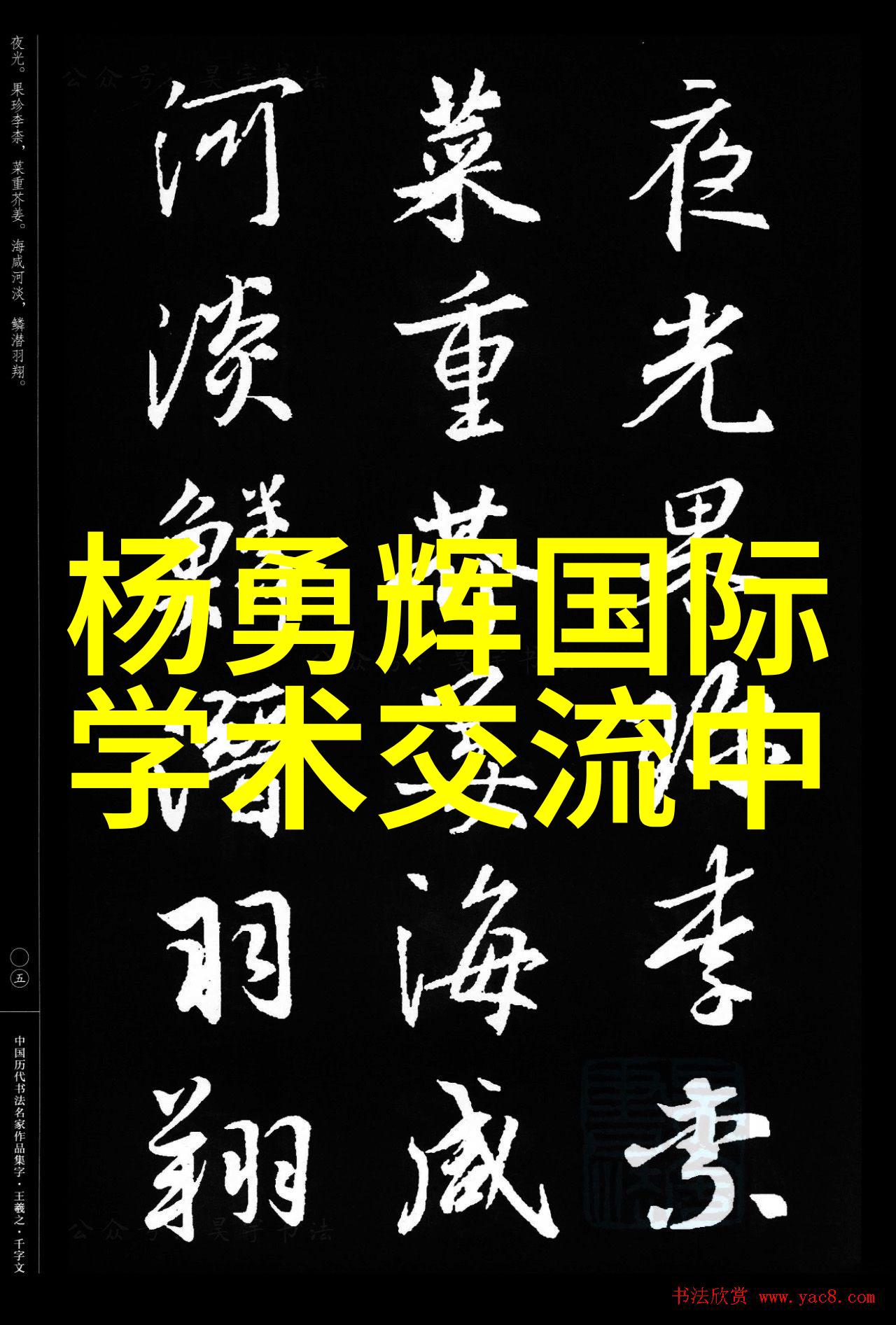 分离反应釜与混合反应釜的区别