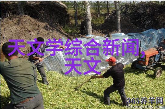不锈钢金属丝网填料绿色环保的选择