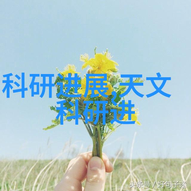 从原理到实践了解和安装t型波纹燃气管道