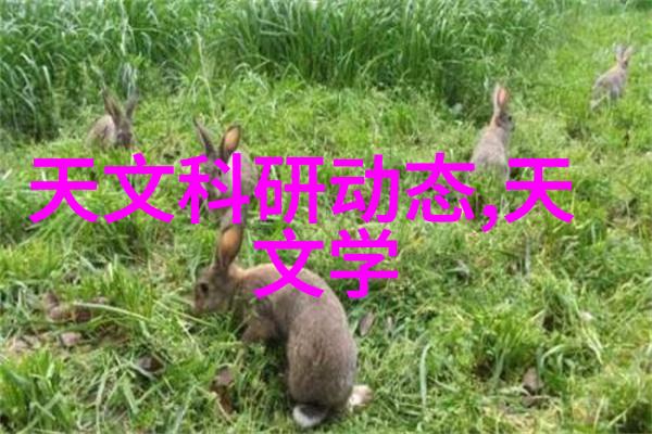 家常美食-朱门绣户的传统红烧肉回味香脆口感