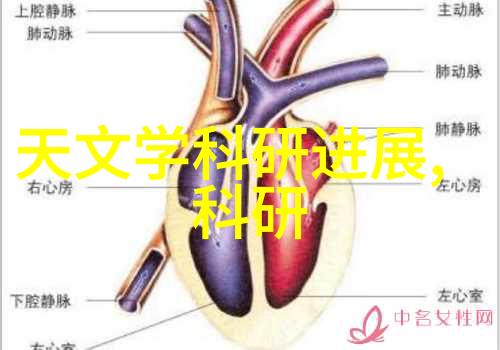 探究丝网孔隙率的奥秘精准度量与应用前景