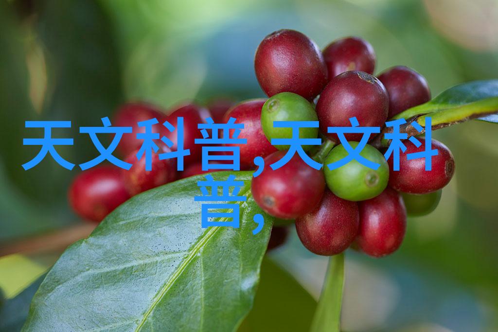 掩面之谜灭菌口罩真的必要吗