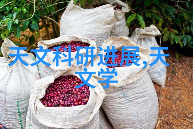 智能手环的作用-全方位健康管理器活力追踪与生活智慧