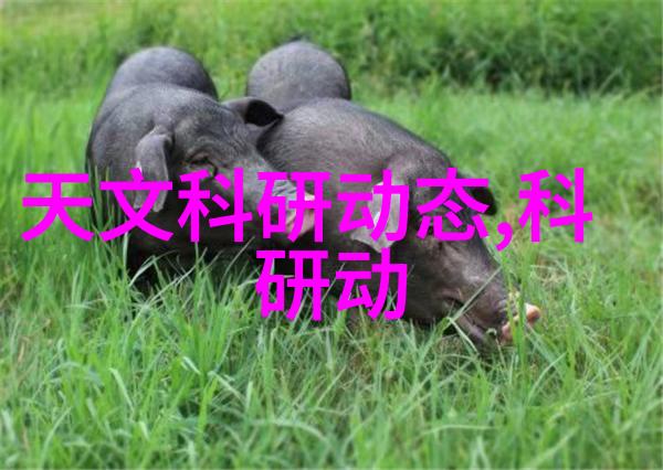 实验室我是怎么把回流装置装在图纸上的