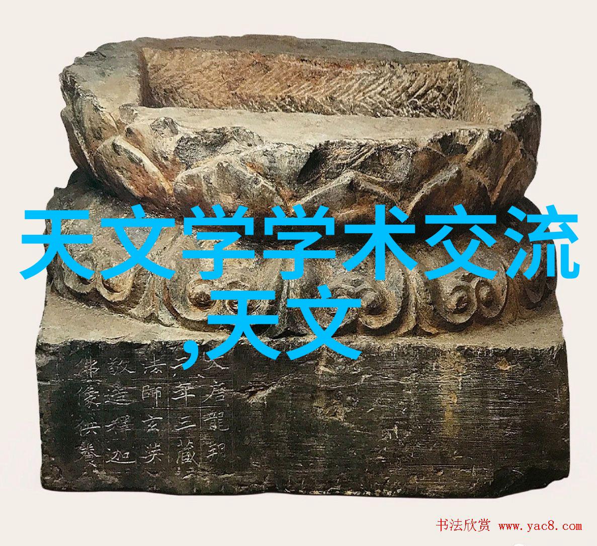 不锈钢填料在化学反应器中的应用及其对催化活性影响的研究