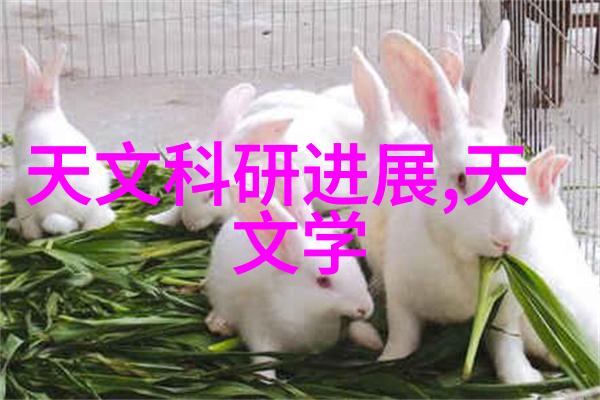 水利工程-清洁源自深处井水过滤装置的设计与应用